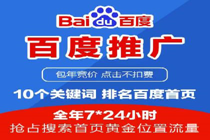 搜索引擎优化（SEO）与竞价广告（SEM）的对比案例